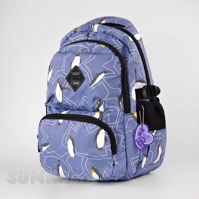 Шкільний рюкзак з ортопедичною спинкою з текстилю Favor 998-38 - 1