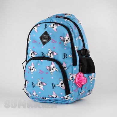 Шкільний рюкзак з ортопедичною спинкою з текстилю Favor 996-02 - 1