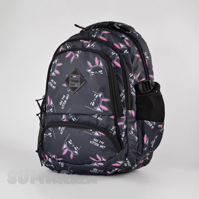 Шкільний рюкзак з ортопедичною спинкою з текстилю Favor 997-18 - 1