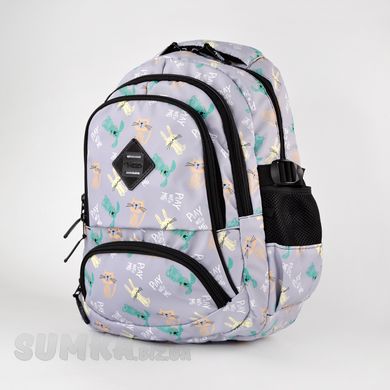 Шкільний рюкзак з ортопедичною спинкою з текстилю Favor 997-19 - 1