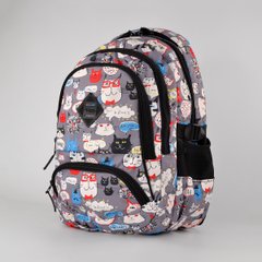 Школьный рюкзак с ортопедической спинкой из текстиля Favor 997-04 - 1