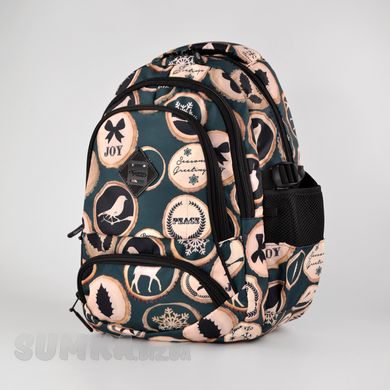Школьный рюкзак с ортопедической спинкой из текстиля Favor 997-41 - 1