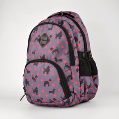 Шкільний рюкзак з ортопедичною спинкою з текстилю Favor 996-39 - 1